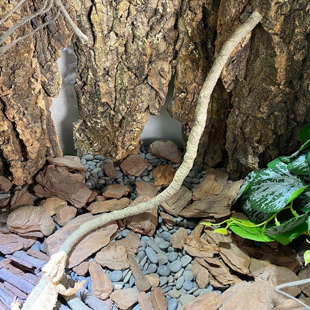 с присоской имитация рептилий ротанговые ящерицы лазающие лианы для ящериц гекконы 0.5M-Style B